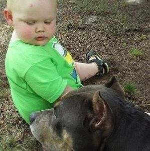 Meet your Posher, Joseph